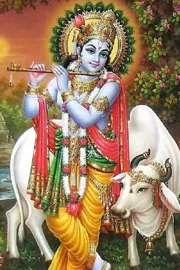 Krishna resides where truth and dharma are established8