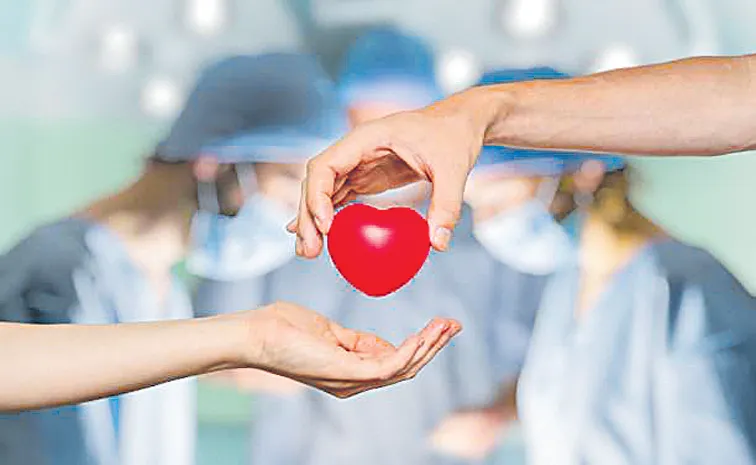 Sakshi Guest Column On Organ donation
