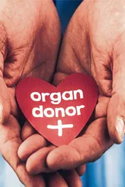 World Organ Donation Day is observed on August 13 every year globally4
