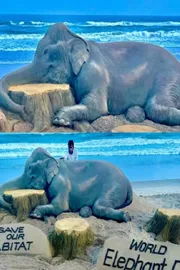 World Elephant Day 2025: Sudarshan Patnaik Special Sand Art4