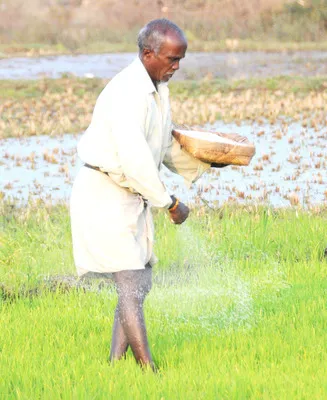 రైతన్
