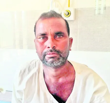 బెడ్ల
