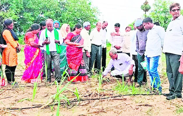 ప్రకృతి వ్యవసాయ క్షేత్రం సందర్శన 