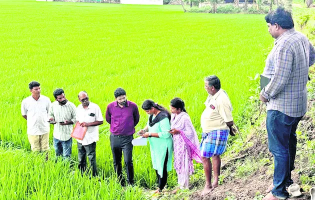 అనవసర పెట్టుబడితో నష్టపోవద్దు 