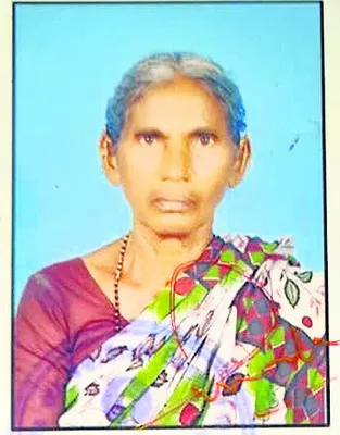 ఆస్తి కోసం తల్లిని చంపిన కొడుకు