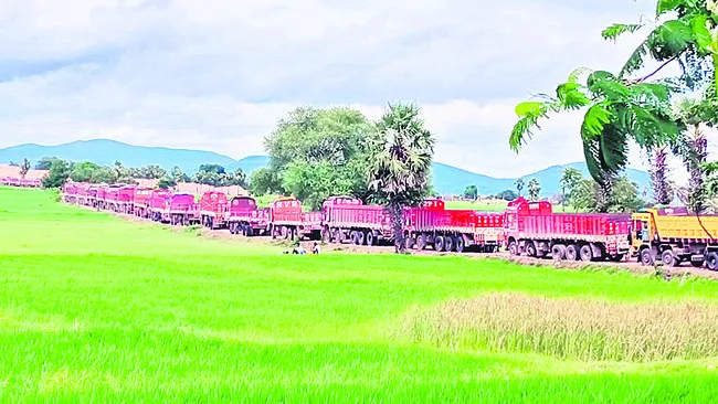గంజాయి పట్టివేత?