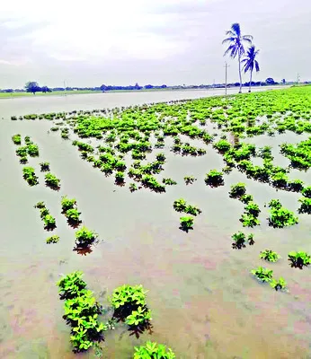 నిండా