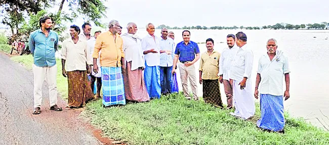పంట పొలాలను పరిశీలించిన జిల్లా వ్యవసాయ అధికారి 