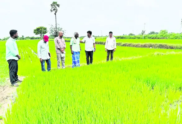 వ్యవసాయ అధికారుల సూచనలు పాటించాలి 