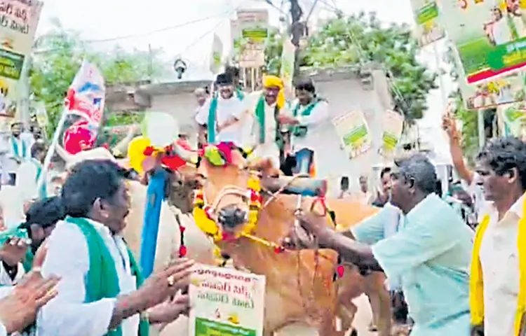 MLA got minor injuries after falling down from the bullock cart