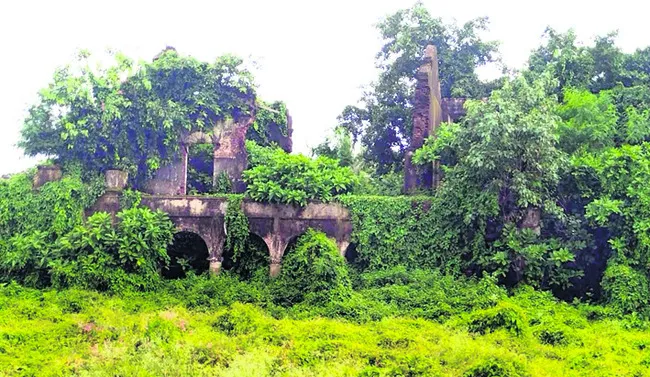 మన్యం