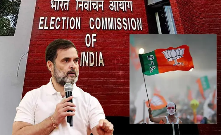 Vote Chori in 2019 Elections Also Raise Doubts After Professor Claims Viral