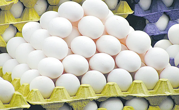 Tenders for distributing eggs to children go to old contractors