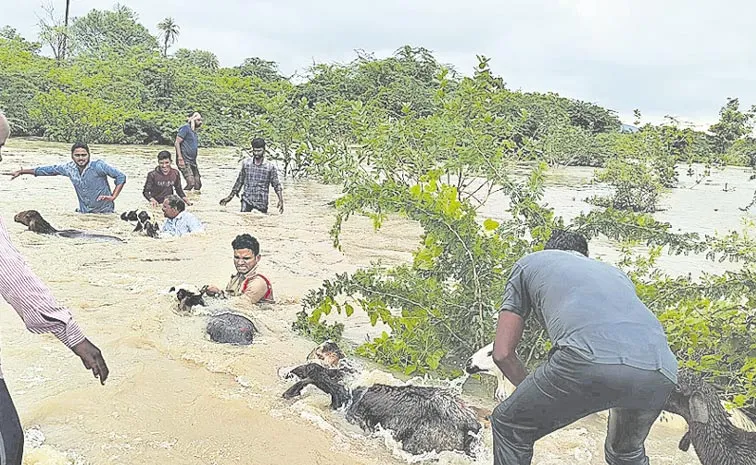 Heavy Floods at Palamuru due to Rains