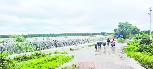 అలుగు