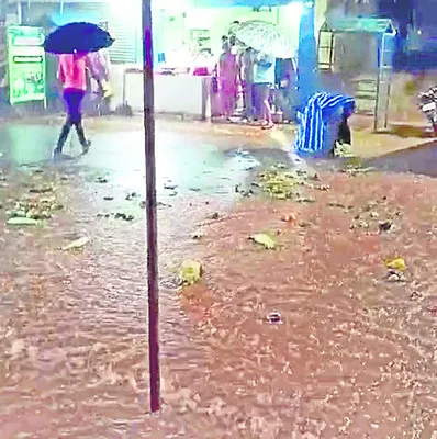 సాహసా