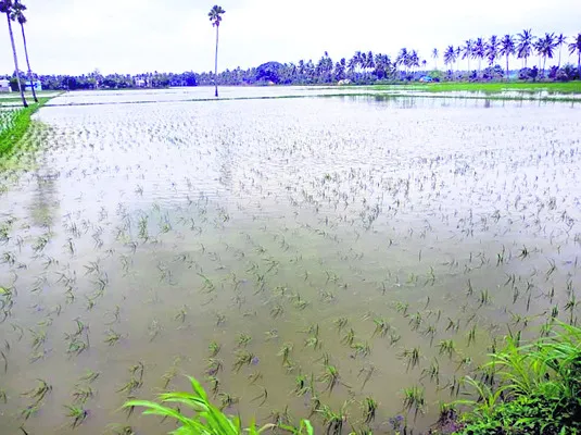 నిండా