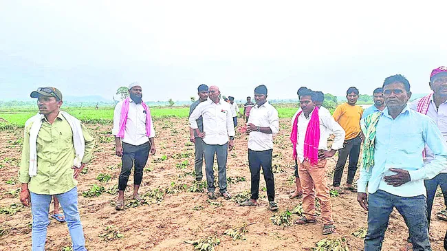 ఎకరాకు రూ.30 వేల పరిహారం ఇవ్వాలి