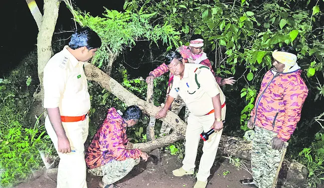 చిరుత