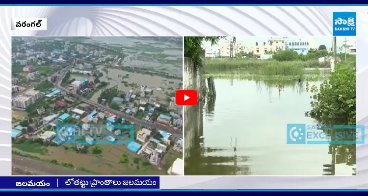 మునిగిన వరంగల్