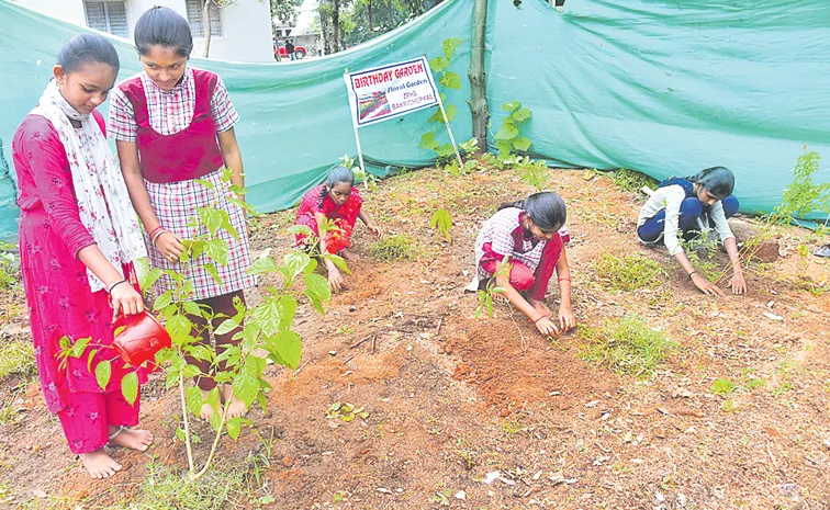 పసి మొగ్గల.. బర్త్‌డే గార్డెన్
