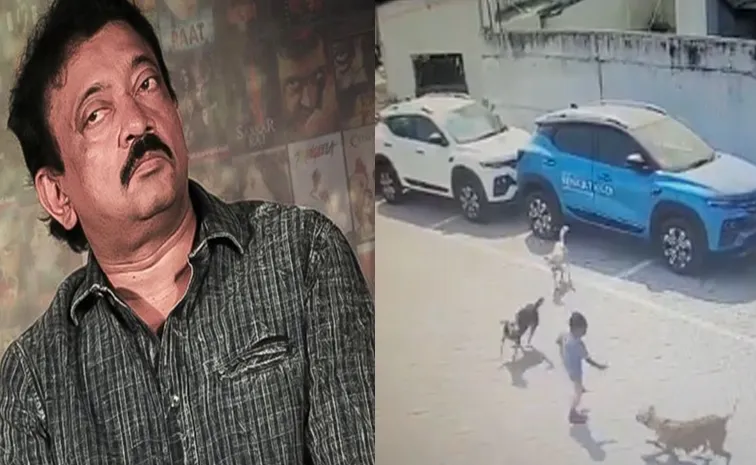 Ram Gopal Varma Response On Supreme court Judgement On Stray Dogs
