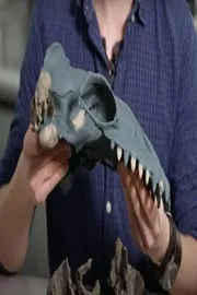 ancient whale discovered on Australia coast6