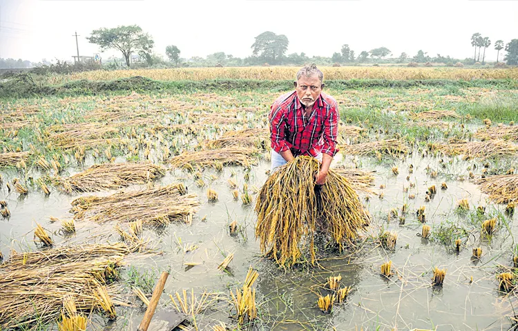 Premium payment deadline for Kharif crops has passed