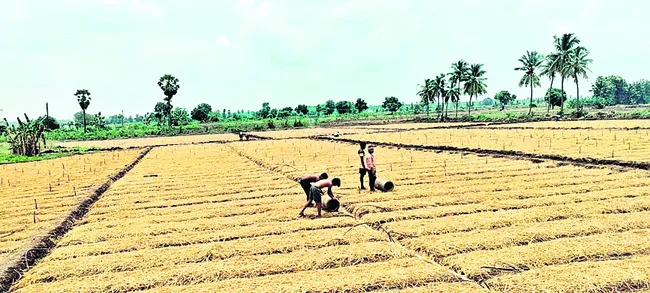 ప్రార