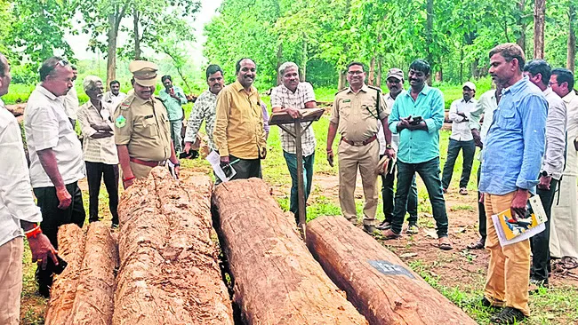 అటవీశ