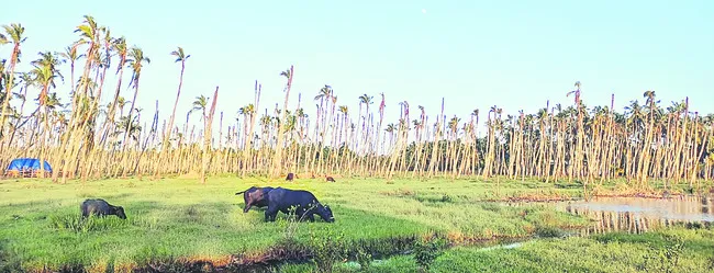 సమస్య