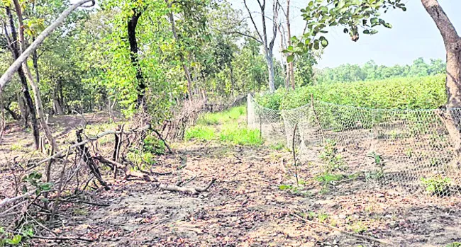 గిరిజనేతరుల చేతిలో వేల ఎకరాలు