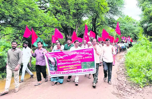 విప్ల