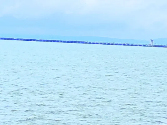 శ్రీరాంసాగర్‌ ప్రాజెక్టు ఆయకట్టుకు భరోసా 