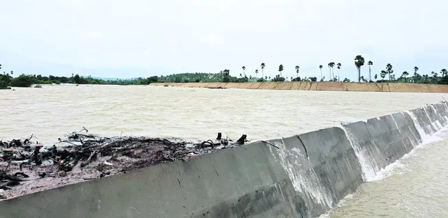 ఆశలు నింపిన వాన