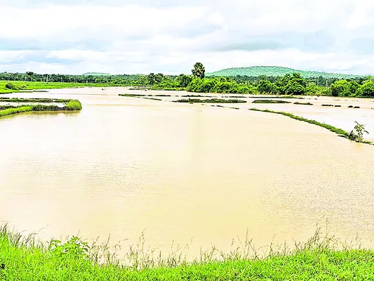 ఎట్టకేలకు వరుణుడి కరుణ