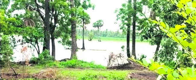 నీరు లాగక.. వేదన తీరక 
