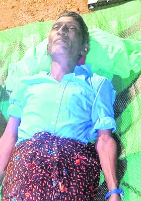 క్రిమ
