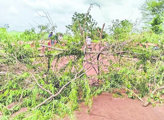 నారింజ వాగు ఉధృతం