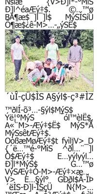 హైకోర