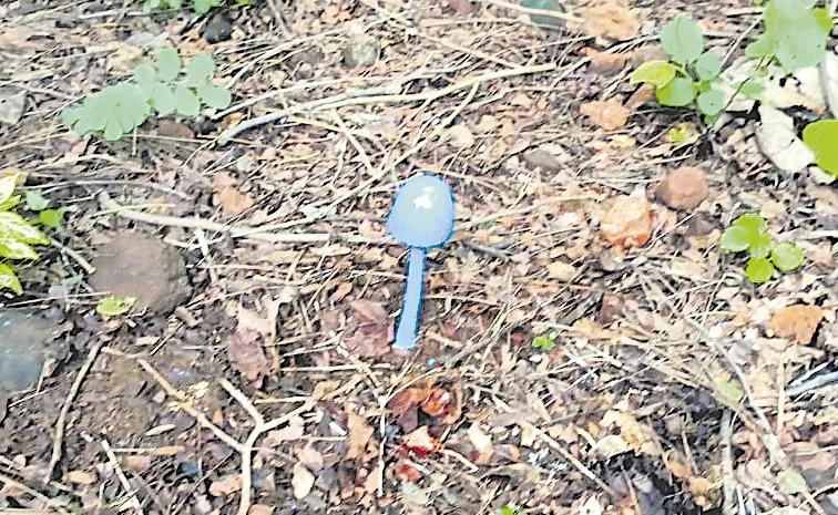 Rare Sky Blue Mushroom Found in Khammam Kanakagiri Forests