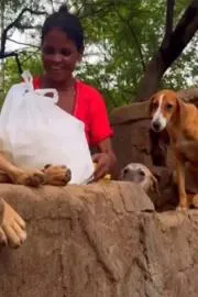 The Woman Who Takes Care Of 70 Stray Dogs Goes Viral7