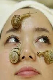 Beauty Tips: Snail slime benefits For Human Skin care10