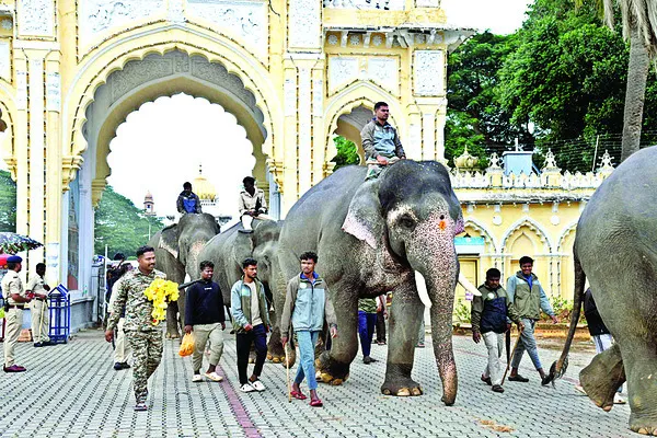 గజరాజ