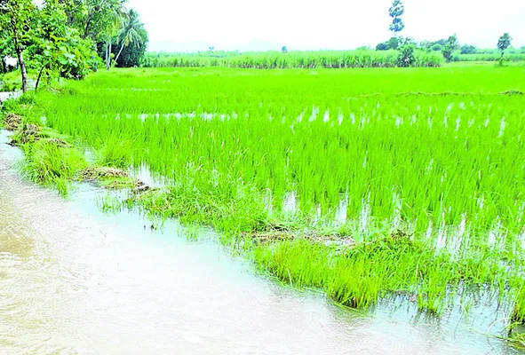 జల జీవనం 
