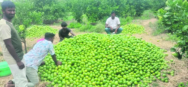 బత్తా