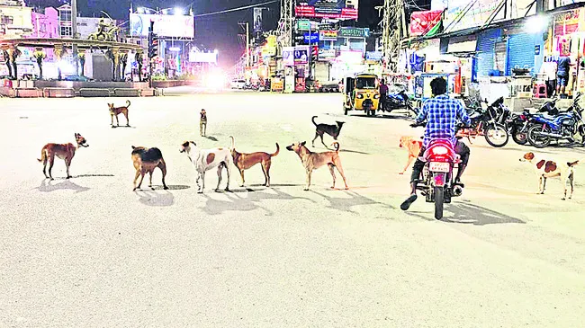 గర్జి