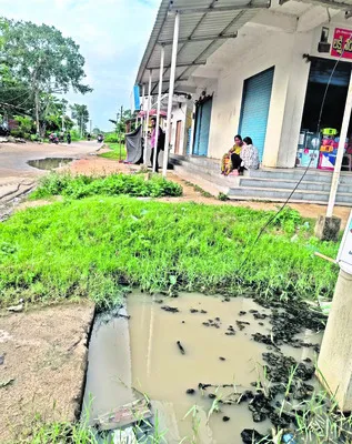 అధ్వా