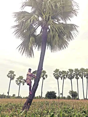 భరోసా లేని గీతన్నల బతుకు