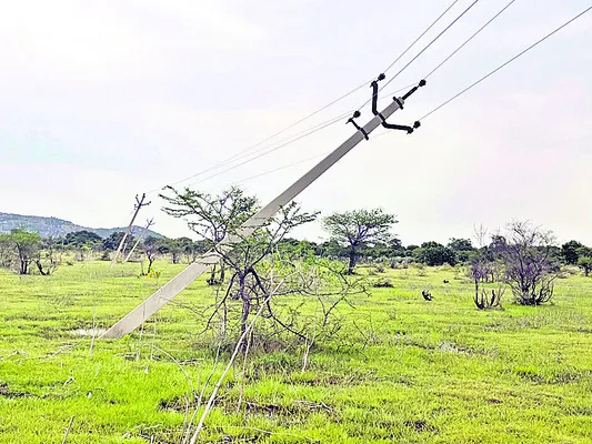 ప్రమా